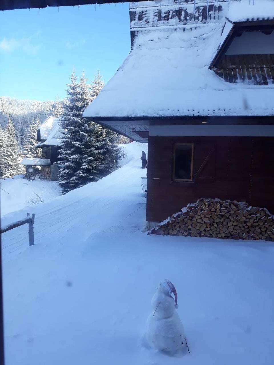 Holiday Home Elena โคเปานิก ภายนอก รูปภาพ